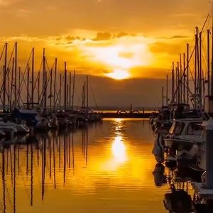 Meet your Posher, Magda